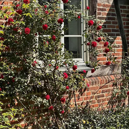 Апартаменты Altes Polchower Pfarrhaus *